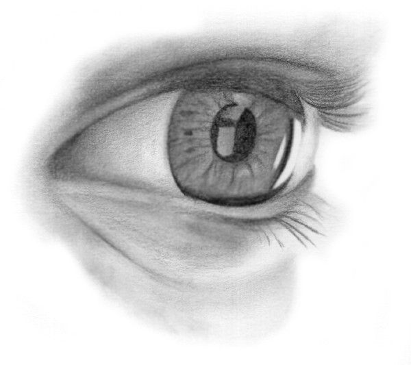 C'EST PASSIONNANT DE REGARDER...D'APPRENDRE.../1/