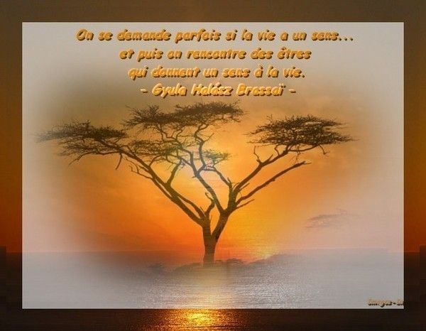 Citation sur la vie,