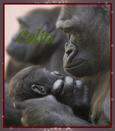 J'AI ECOUTE LE SILENCE.