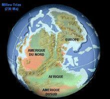 LA TERRE IL Y A 250 MILLIONS D'ANNEES.